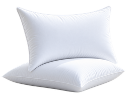 Nf - Recron Pillows